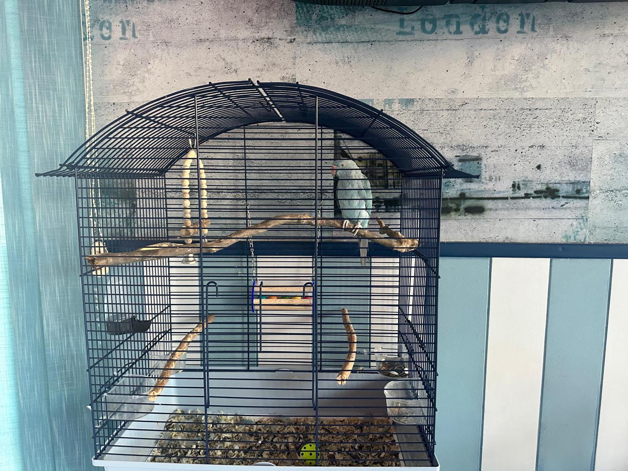 Plexus Boutique Otel Eforie Sud  Dış mekan fotoğraf