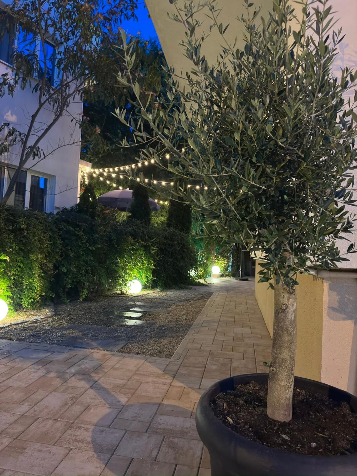 Plexus Boutique Otel Eforie Sud  Dış mekan fotoğraf
