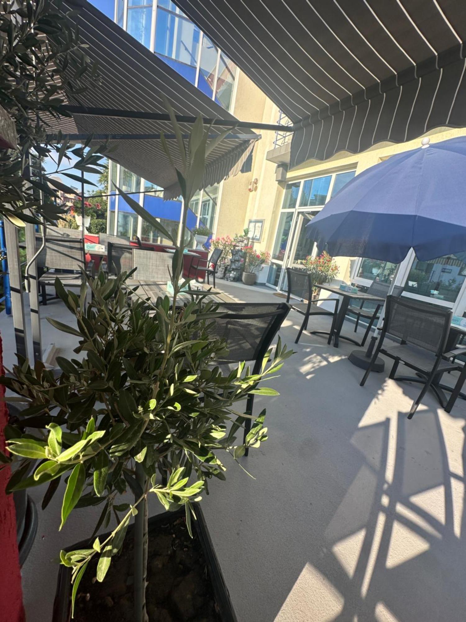 Plexus Boutique Otel Eforie Sud  Dış mekan fotoğraf